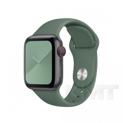 Ремінець Sport Band Apple Watch 38 mm 40 mm 41 mm — Pine Green (58)