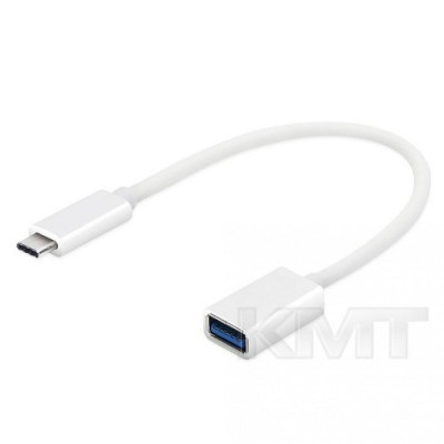 Adapter OTG USB C To USB — (0.1m) White