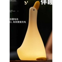 Ночной светильник — Looking up at the duck A013 Ночной светильник — Looking up at the duck A013