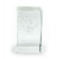 Параллелограмм хрустальный с голограммой (5х8CM)