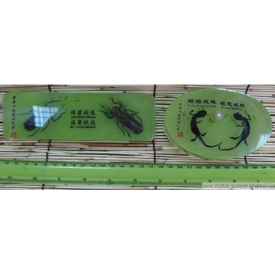 Насекомое в зеленом стекле