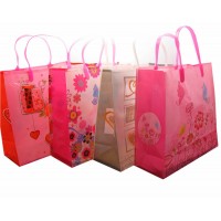 Пакет подарочный (24х24х10 см)