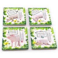 Магнит на холодильник Свинка с термометром  (7,5х7,5х1 см)