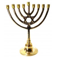 Подсвечник Ханукия  бронзовый (21х16,5х8,5 см)(515 г.)