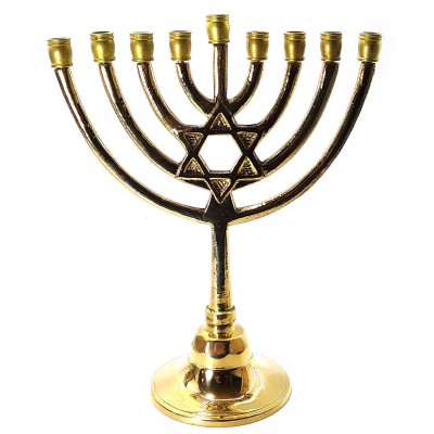 Подсвечник Ханукия  бронзовый (21х16,5х8,5 см)(515 г.)