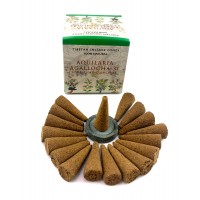 Aquilaria agallocha- 31 (Тибетское благовоние)