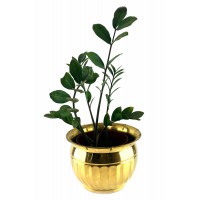 Кашпо « Золотистая Роскошь» ( 18х 25,5 см)