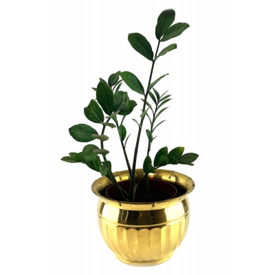 Кашпо « Золотистая Роскошь» ( 18х 25,5 см) Кашпо « Золотистая Роскошь» ( 18х 25,5 см)