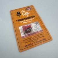 Амулет-талисман Рудракша 1 Мукхи (1 Лик)