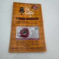 Амулет-талисман Рудракша 11 Мукхи (11 Ликов)