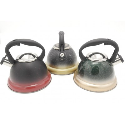 Чайник 3,0 Л A-PLUS 1310