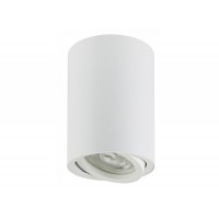 Акцентный светильник Luxel GU10 IP20 белый (DLD-04W)