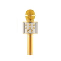 Микрофон WS-858 WSTER GOLD