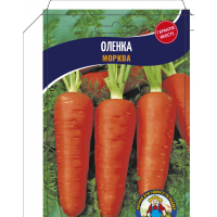 Морковь Алёнка 15Г. Раннеспелый сорт Морковь Алёнка 15Г. Раннеспелый сорт