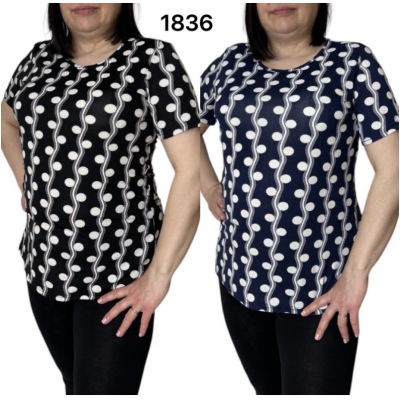 Жіночі футболки 111579. Розміри l, xl, 2xl, 3xl, 4xl (48-56)
