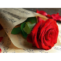 Пакет для подарка большой горизонтальный "Роза" 36х22 см  