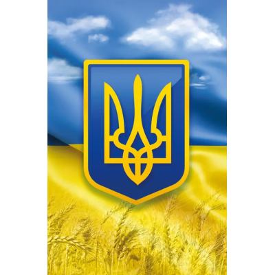 Пакет для подарка большой вертикальный "Україна" 25х37 см