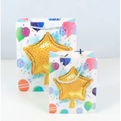 Пакет для подарка большой вертикальный "Звезда на бирюзовом" 26х32 см