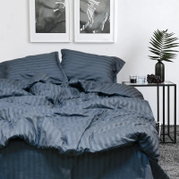 Комплект постельного белья Полуторка ранфорс VILUTA 67 Satin Stripe	