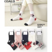 Носки COALO ликра хлопок женские 35-41. Цвет: ассорти Носки COALO ликра хлопок женские 35-41. Цвет: ассорти