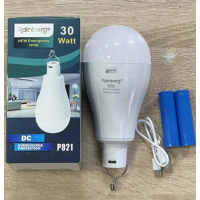 Фонарь - Лампа Rainberg 30W P921 аккумуляторная, c 2 встроенными аккумуляторами (80 mAh) Фонарь - Лампа Rainberg 30W P921 аккумуляторная, c 2 встроенными аккумуляторами (80 mAh)