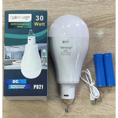Фонарь - Лампа Rainberg 30W P921 аккумуляторная, c 2 встроенными аккумуляторами (80 mAh)