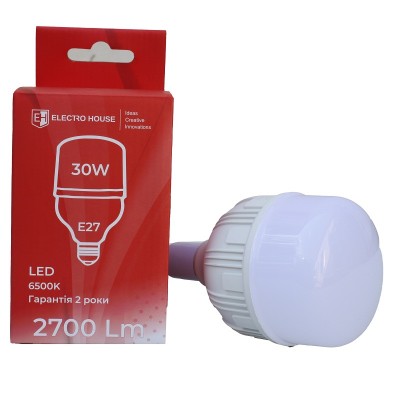 LED lamp Т100 E27 30 Вт 6500К