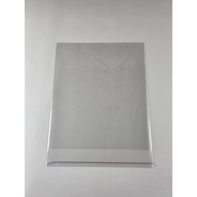 Пакет прозрачный полипропиленовый + скотч  25*30+4/25мк +скотч (1000 шт)