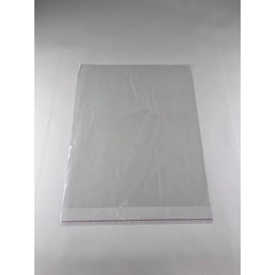 Пакет прозрачный полипропиленовый + скотч 40*48+4/25мк +скотч (1000 шт) Пакет прозрачный полипропиленовый + скотч 40*48+4/25мк +скотч (1000 шт)