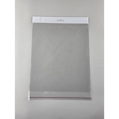 Пакет прозрачный полипропиленовый + скотчк  25*30+4/25мк +скотч(+еврослот3,5) (1000 шт)