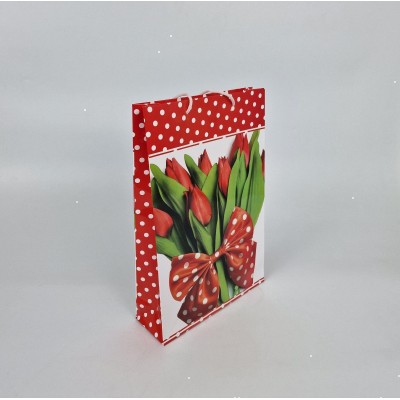 Бумажный большой пакет вертикальный 25/37/8 (артBV-066) (12 шт)