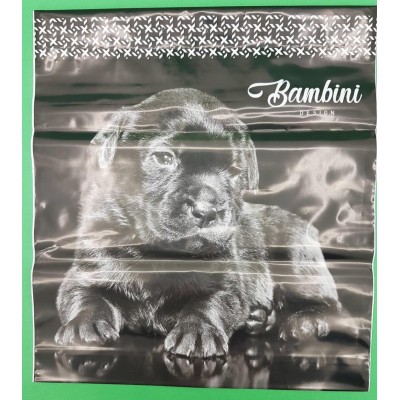 Пакет-сумка 40х45 з пластиковою ручкою  