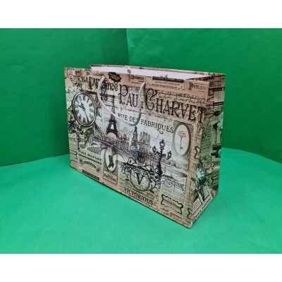 Бумажный большой горизонтальный пакет  36/22/10(артBG-123) (12 шт)