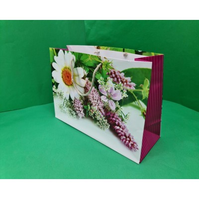 Бумажный большой горизонтальный пакет  36/22/10(артBG-086) (12 шт)