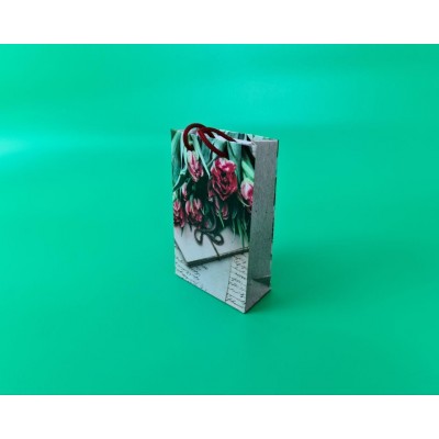 Пакет бумажный подарочный малый 11/18/5(арт М105) (12 шт)