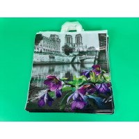 Пакет 46*49 петлевая ручка Нотр Дам Комсерв (25 шт)