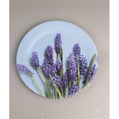 Тарелка бумажная 23см