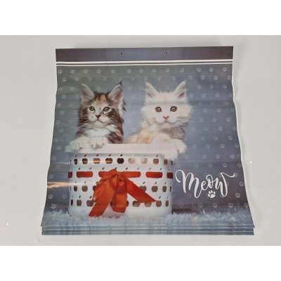 Пакет с пластиковой ручкой (36х37)  