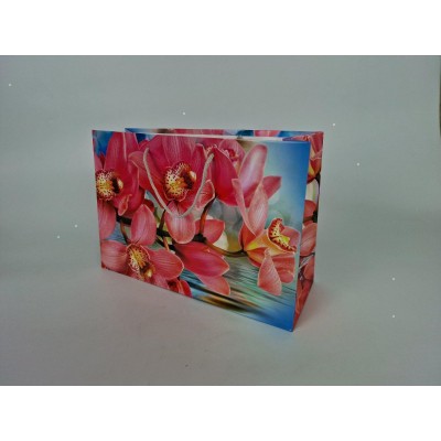 Бумажный большой горизонтальный пакет  36/22/10(артBG-021) (12 шт)