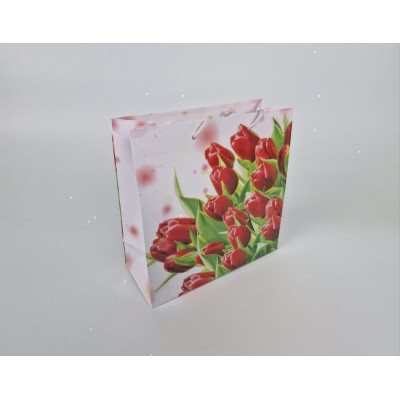 Пакет бумажный подарочный квадратный 23*24*10(артKV-056) (12 шт)