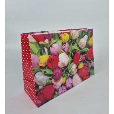 Бумажный пакет горизонтальный гигант 46*33*15 (артGG-020) (12 шт)