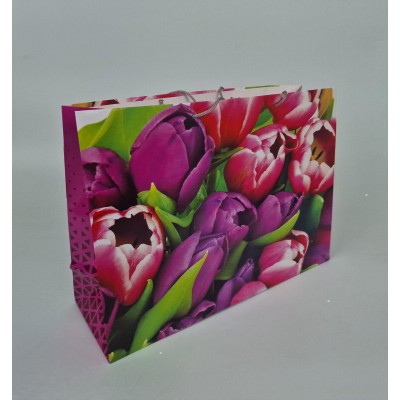 Бумажный пакет горизонтальный гигант 46*33*15 (артGG-018) (12 шт)