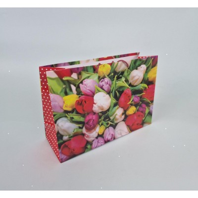 Бумажный большой горизонтальный пакет  36/22/10(артBG-037) (12 шт)