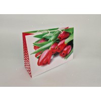 Бумажный большой горизонтальный пакет  36/22/10(артBG-044) (12 шт)