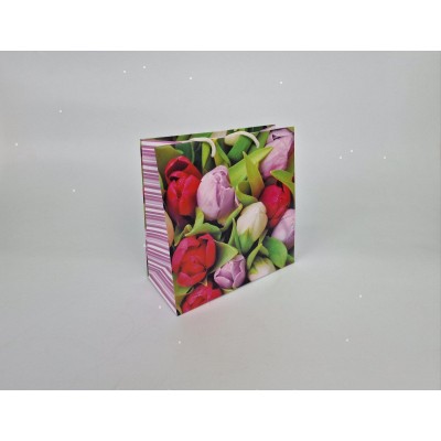 Пакет бумажный подарочный квадратный 23*24*10(артKV-053) (12 шт)