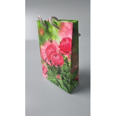 Пакет бумажный подарочный малый 11/18/5(арт М019) (12 шт)