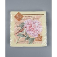 Салфетки бумажнае (ЗЗхЗЗ, 18шт) Салфетки бумажнае (ЗЗхЗЗ, 18шт)