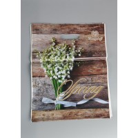 Пакеты с вырубной ручкой (29*37)