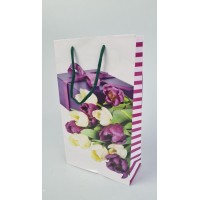 Бумажный пакет подарочный Средний 17/26/8(артSV-142 ) (12 шт)