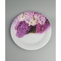 Бумажная тарелка с рисунком 18см Бумажная тарелка с рисунком 18см